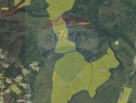 Pădure de vanzare – oportunitate de investiție Prahova