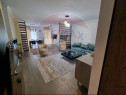 Apartament cu 2 camere si terasa Arad Plaza