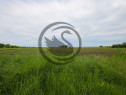 Teren de vanzare in Manesti, Prahova | 18.000 mp | Deschi...