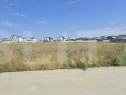 Teren intravilan, 445 mp, front 14, zona Magnolia