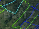 Padure 1,42 hectare in Poiana Ilvei