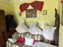 Casa si teren intravilan 4.779 mp Girov, Neamț Contesti