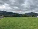 Teren 1,023mp Vadurele (Alexandru cel Bun) / Strada Steja...