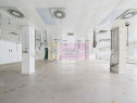 Spatiu Industrial | Comercial Dristor VITAN | RACARI