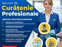Servicii profesionale de curățenie & Dezinsecție Deratizare Deratizare