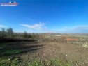 Teren de zona Bididia Tulcea