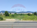 TEREN DE VÂNZARE in Baia Mare