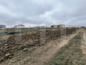 Teren de vanzare Mosnita Noua