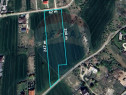 Teren intravilan, 9195 mp, dubla deschidere,Vladiceasca/S...