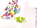 Fluturi decorativi 3D,multicolor-curcubeu