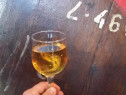 Vin de Dragasani - Sauvignon Blanc