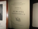 Condus prin Castelul Sanssouci- Album vechi-Berlin 1926-Arta