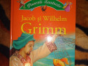 Jacob si Wilhelm Grimm - Povesti ilustrate - 6 povesti