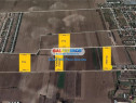 Teren Balotesti str Lunii 7400 mp intravilan