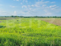 Teren 5500mp extravilan,Sat Dimoiu