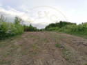 Teren 2000 mp intravilan Smeura-Mosoaia. Comision 0%