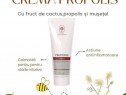 Crema propolis cu fructe