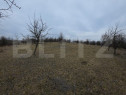 Teren extravilan de vanzare, 900 mp, Bistrita