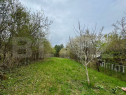Teren intravilan de vanzare, 9.600 mp, zona Geoagiu-Băi
