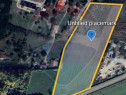 Teren 16,500 mp Sofronea