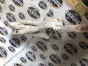 Airbag cortina dreapta Opel Insignia A 2010