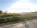 Teren extravilan - Tulcea - comuna Cernea -