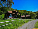 FILM! Casa traditionala, 4.300mp teren, Bran - Simon