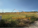 TEREN DE VANZARE | INTRAVILAN | 1638 MP | BEIUS
