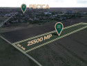 Teren intravilan cu poțențial de 25500 mp in Pecica