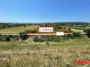 Hemeiusi - zona Parcului Dendrologic - 1.704mp