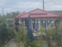 Casă 4 camere, 790 mp teren, zona Bariera Vîlcii