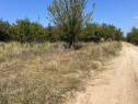 Teren intravilan 5744 mp Mosoaia-Prunilor
