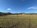 Teren intravilan de v&acirc;nzare &icirc;n Alma jud. Sibiu &ndash; 7.342 m