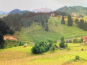 Teren de vis &icirc;n Fundata 1934mp sau 3868mp, la &icirc;nălțim...