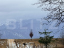 Teren &icirc;n suprafață de 80.000 mp, situat &icirc;n Glăjerie &ndash;