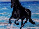 Tabloul " Calul, Black beauty si marea", pictura ulei,panza