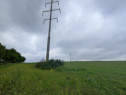 20 hectare cu linie electrica in vecinatate