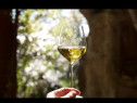 Vin Natural Sauvignon Blanc