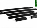 Bandouri / Ornamente Volkswagen Passat 2004