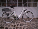 Biciclete electrice import