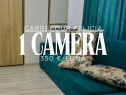 Se închiriază: Apartament cu 1 cameră - Carrefour Felicia