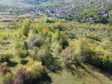 Teren extravilan, 41.631,00 mp, zona Pietrosita