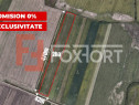 COMISION 0% Teren extravilan agricol, Sacalaz - 20.000 mp