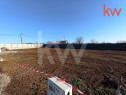 Oportunitate! Teren unic, strada privata de case, Carcea, cu