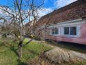 Casa saseasca de vanzare, Livezile