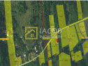 Teren Intravilan-Ideal Investitie-Podis,Margineni,Bacau