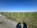 Teren de extravilan de vanzare, 8.650 mp, zona centura