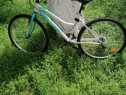 Bicicletă franta