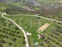 Teren extravilan de vânzare, 4.854 mp, zona nord-vest