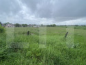 Teren intravilan de vanzare, 648 mp, zona sud